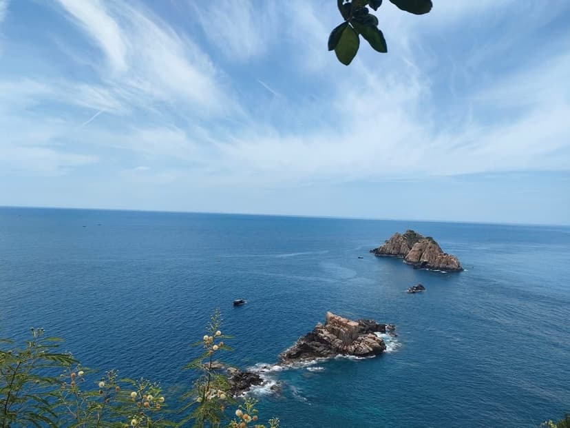 Combo Đảo Bích Đầm Robinson