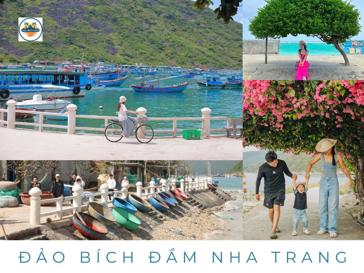 địa điểm check-in đảo bích đầm nha trang