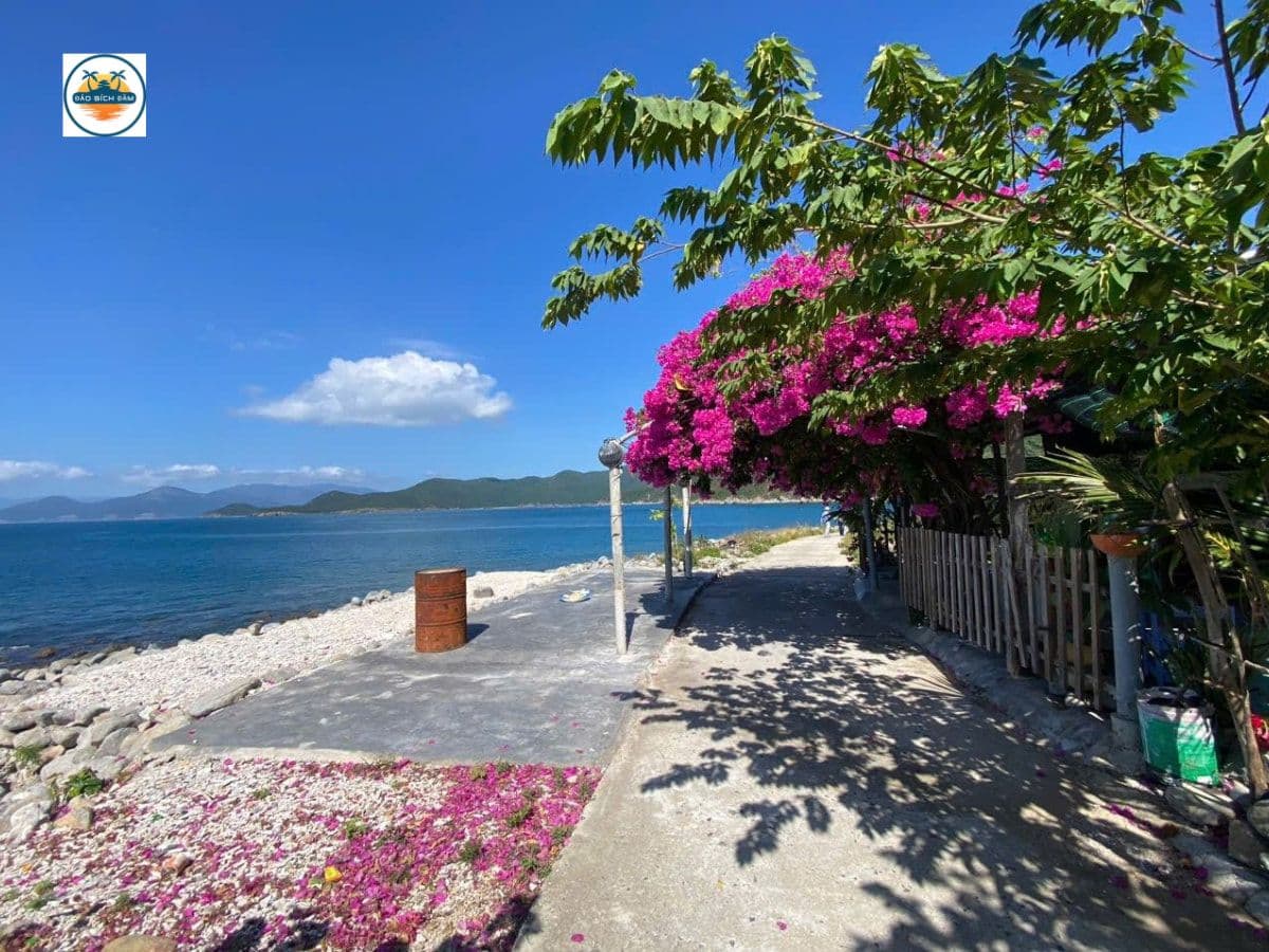 địa điểm check-in đảo bích đầm nha trang