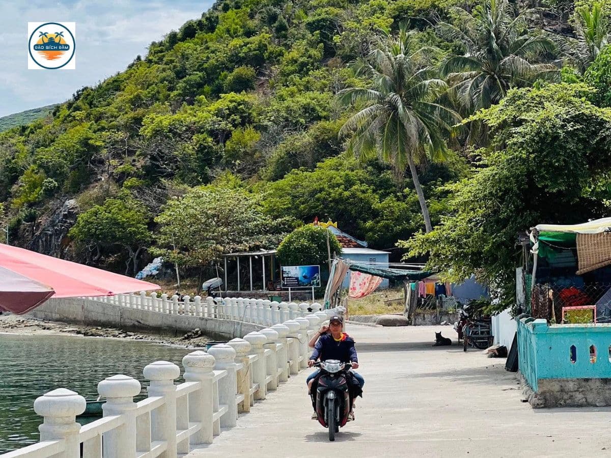 dịch vụ trên đảo bích đầm nha trang