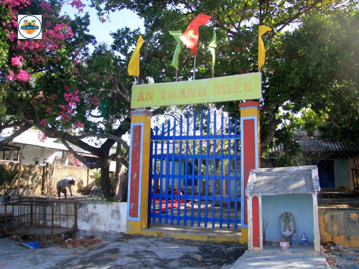 kinh nghiệm du lịch đảo bích đầm nha trang