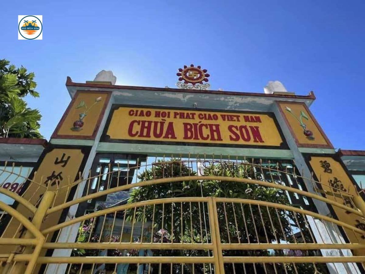 kinh nghiệm du lịch đảo bích đầm nha trang