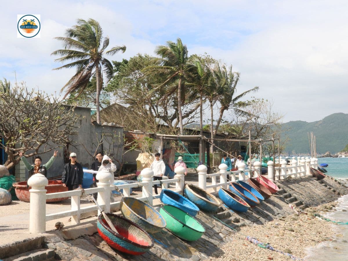 kinh nghiệm du lịch đảo bích đầm nha trang