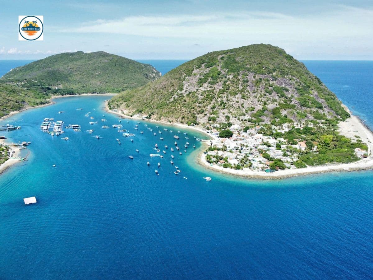 kinh nghiệm du lịch đảo bích đầm nha trang