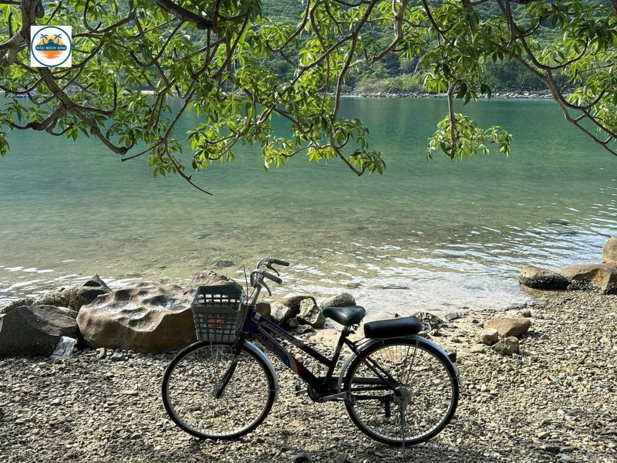 kinh nghiệm du lịch đảo bích đầm nha trang