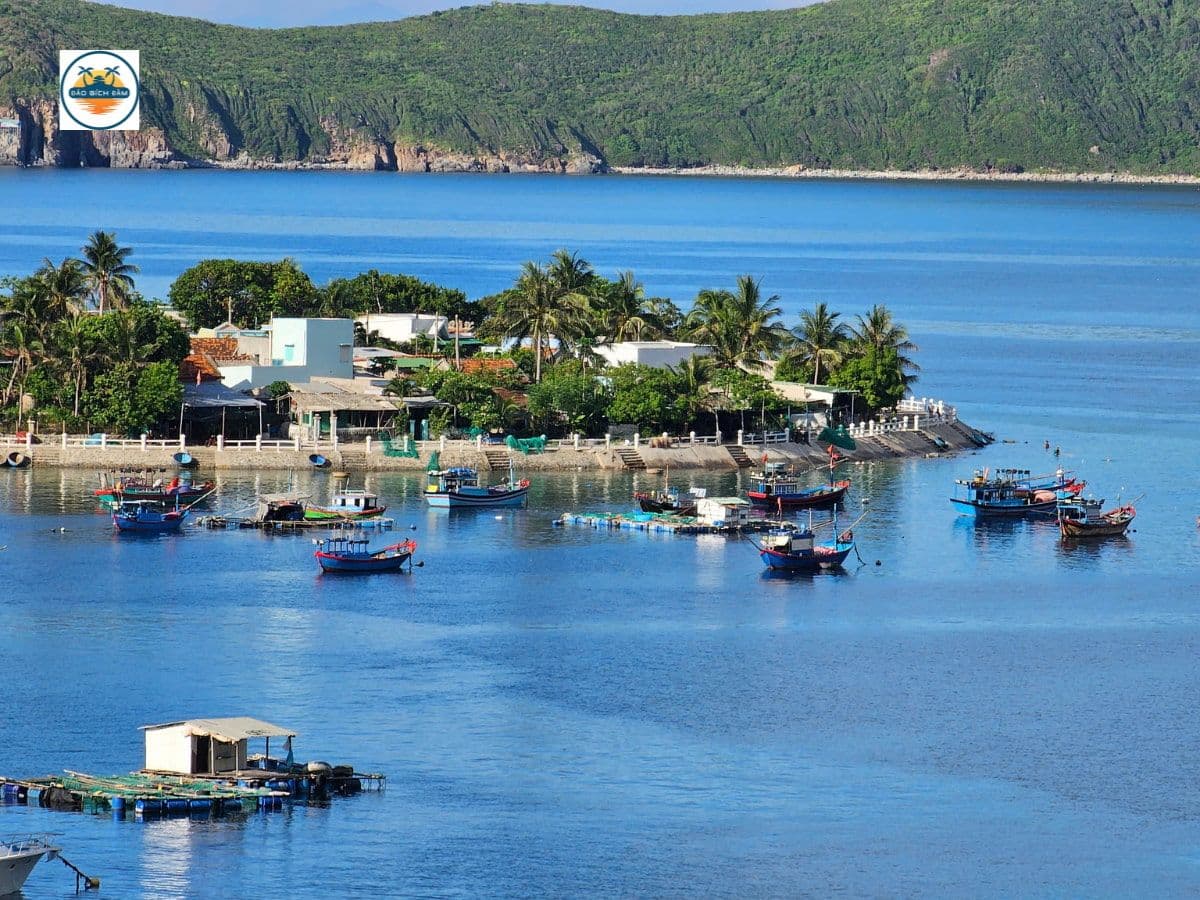 kinh nghiệm du lịch đảo bích đầm nha trang