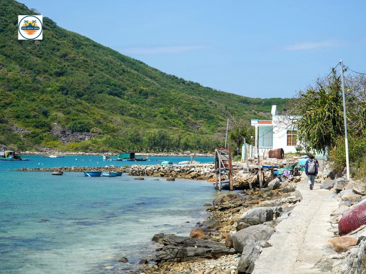 kinh nghiệm du lịch đảo bích đầm nha trang