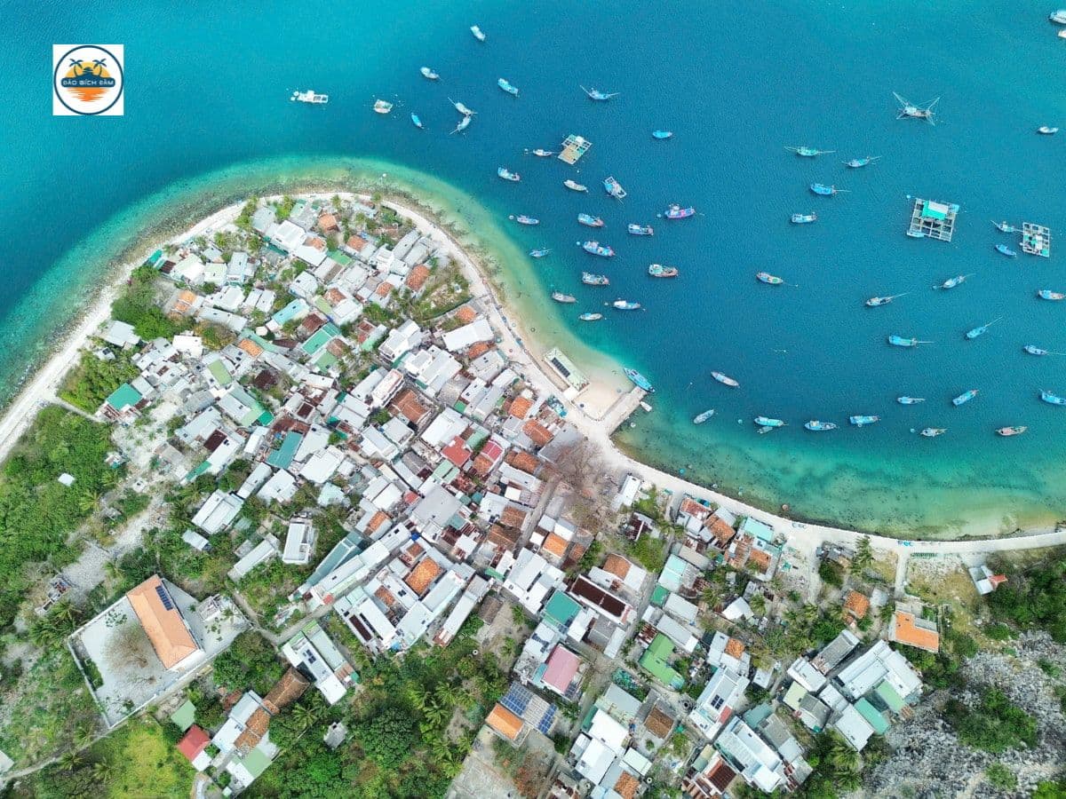 kinh nghiệm du lịch đảo bích đầm nha trang