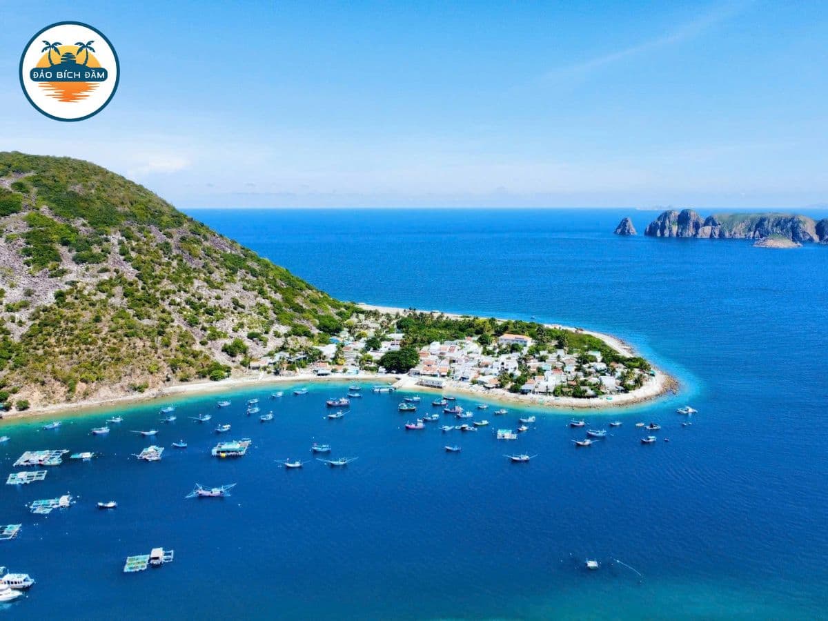 tour đảo bích đầm hòn tằm nha trang