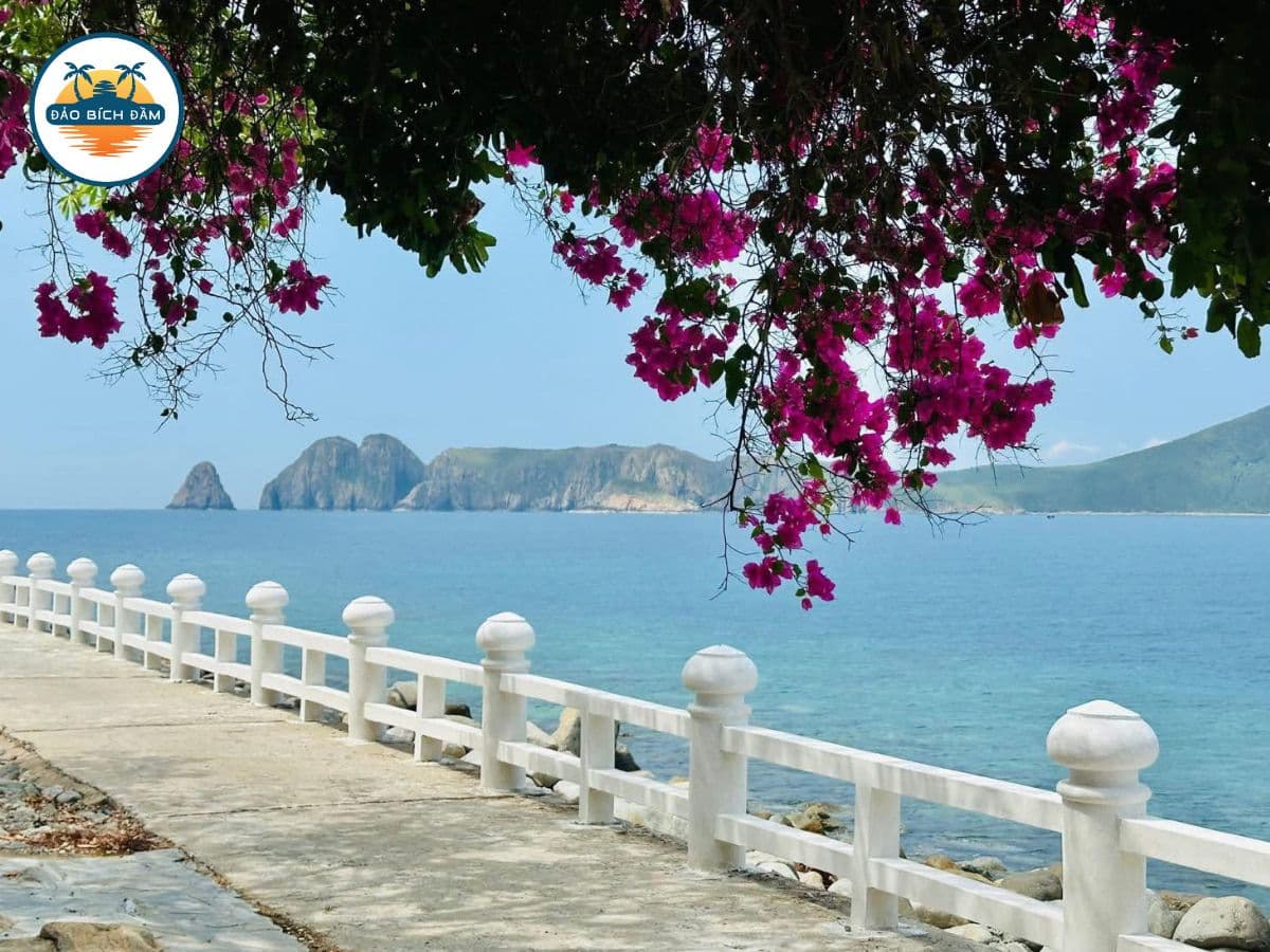 tour đảo bích đầm hòn tằm nha trang
