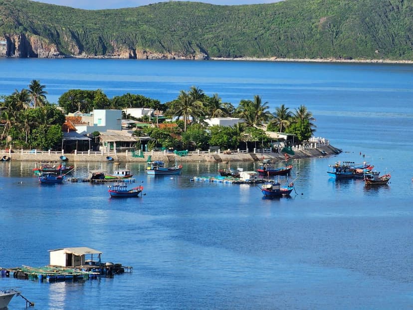 Tour Đảo Bích Đầm Hòn Tằm Nha Trang