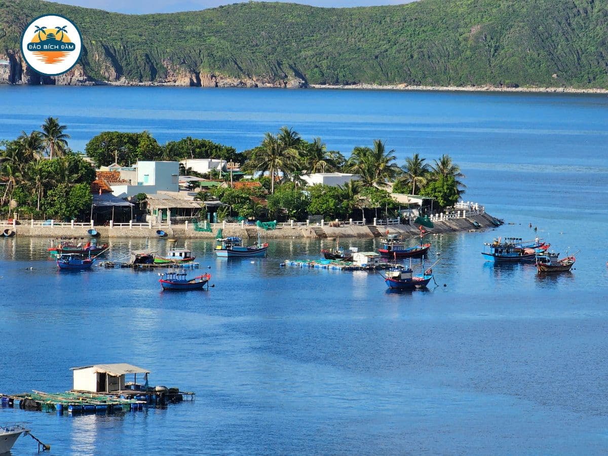 tour đảo bích đầm nha trang 2 ngày 1 đêm 