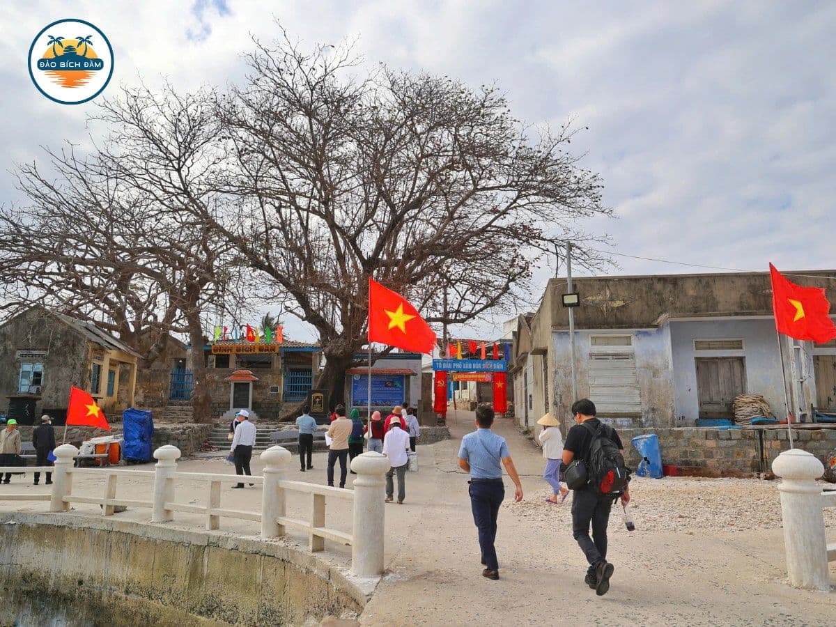 tour đảo bích đầm nha trang 2 ngày 1 đêm 