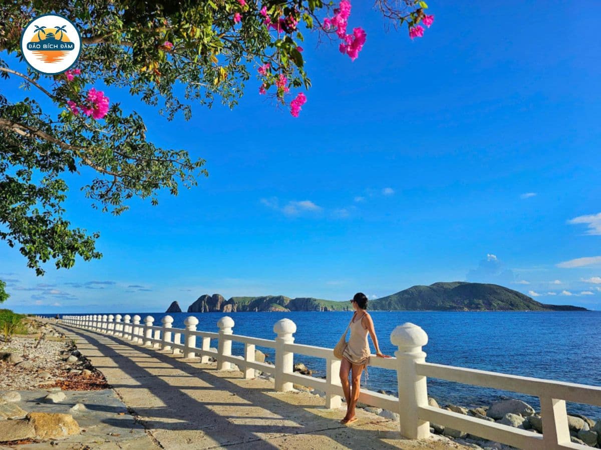 tour đảo bích đầm nha trang 2 ngày 1 đêm 