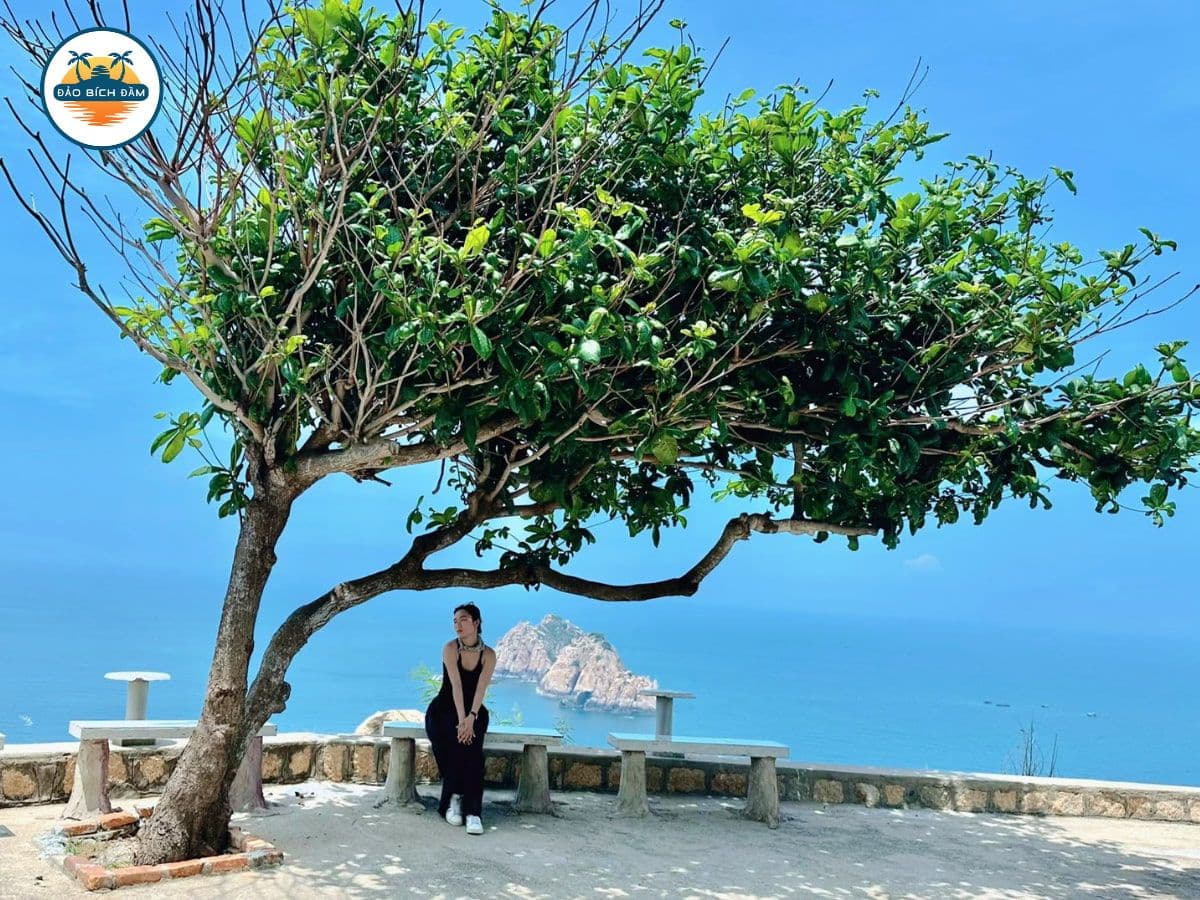 tour đảo bích đầm nha trang 2 ngày 1 đêm 