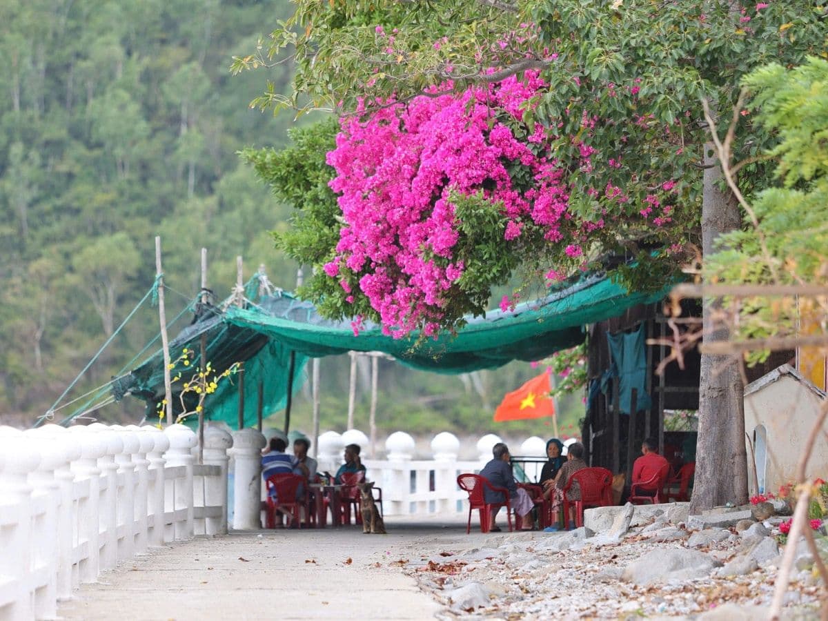tour đảo bích đầm nha trang