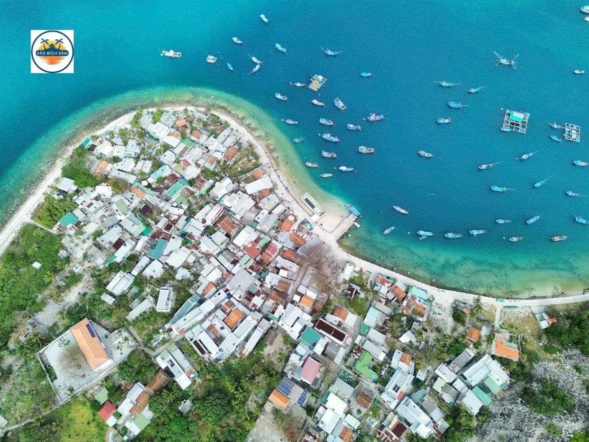 vé cano bus đảo bích đầm nha trang