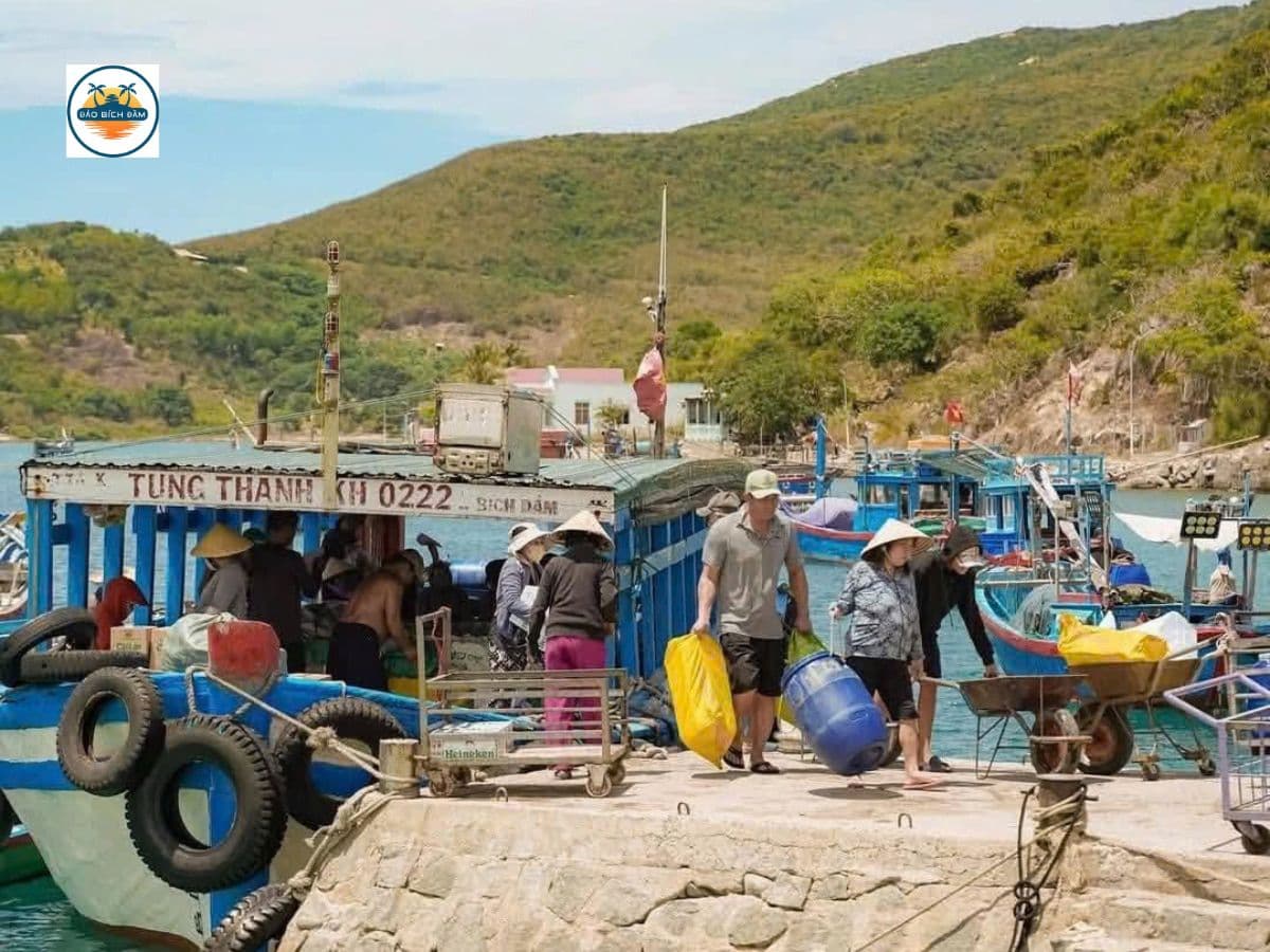 vé cano bus đảo bích đầm nha trang